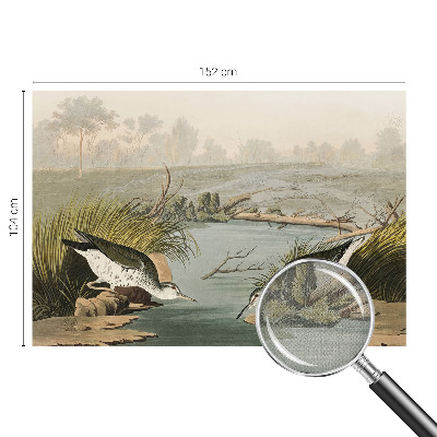 Tapetai Ir laisvas kraštovaizdis