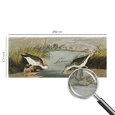 Tapetai Ir laisvas kraštovaizdis