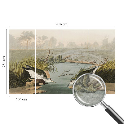 Tapetai Ir laisvas kraštovaizdis