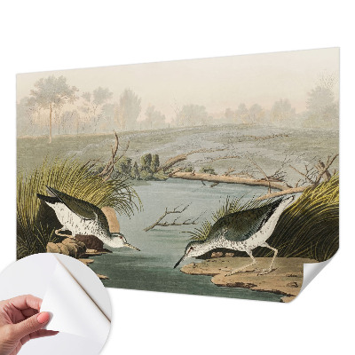 Tapetai Ir laisvas kraštovaizdis