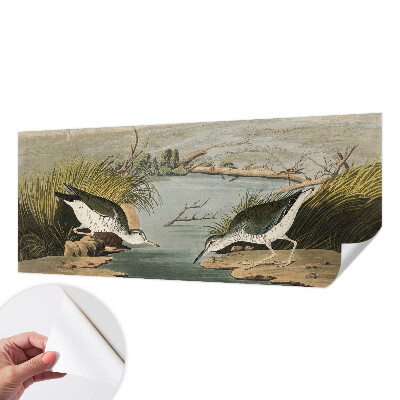 Tapetai Ir laisvas kraštovaizdis