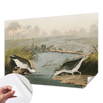 Tapetai Ir laisvas kraštovaizdis