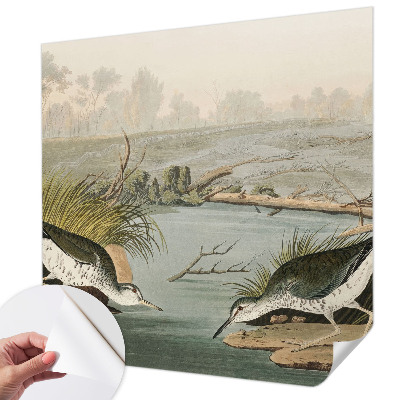 Tapetai Ir laisvas kraštovaizdis