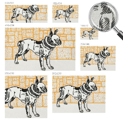 3D fototapetas sienoms Retro šuo