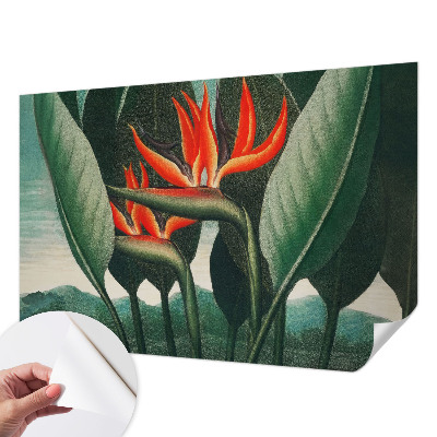 3D fototapetas sienoms su egzotiniu žiedų motyvu