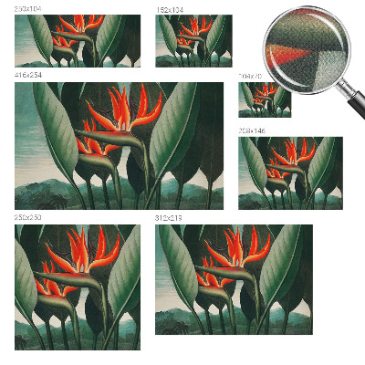 3D fototapetas sienoms su egzotiniu žiedų motyvu