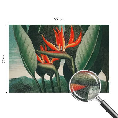 3D fototapetas sienoms Egzotinis žiedas