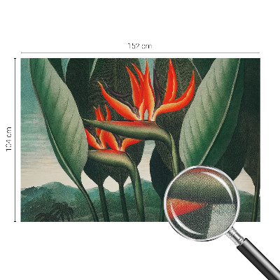 3D fototapetas sienoms su egzotiniu žiedų motyvu