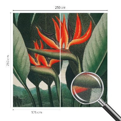 3D fototapetas sienoms Egzotinis žiedas