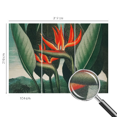 3D fototapetas sienoms su egzotiniu žiedų motyvu