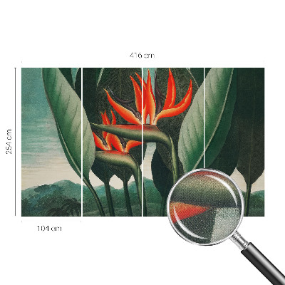 3D fototapetas sienoms su egzotiniu žiedų motyvu