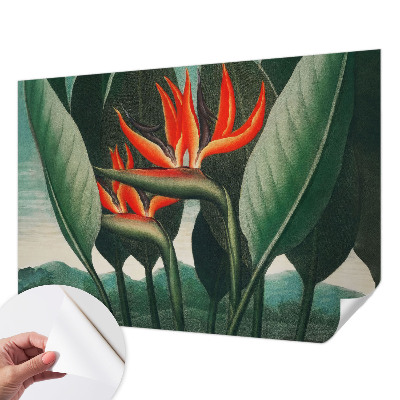 3D fototapetas sienoms su egzotiniu žiedų motyvu