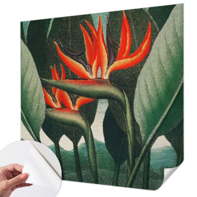 3D fototapetas sienoms su egzotiniu žiedų motyvu