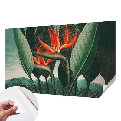 3D fototapetas sienoms su egzotiniu žiedų motyvu