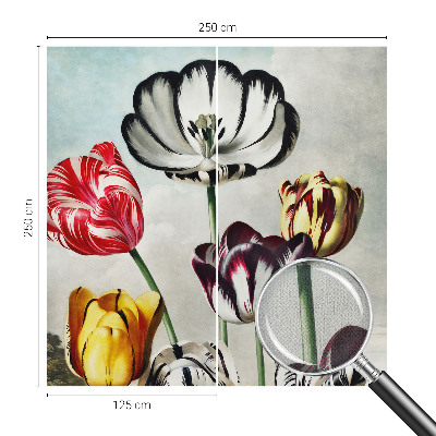 Savaime lipnus fototapetas Farverige tulpmedis
