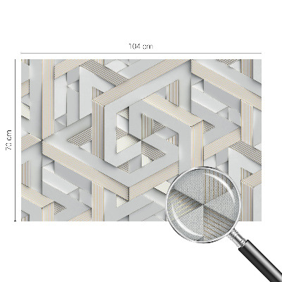 Savaime lipnus fototapetas Iliustruotasis buvęs