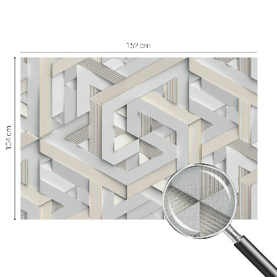 Savaime lipnus fototapetas Iliustruotasis buvęs