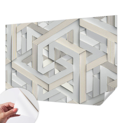 Savaime lipnus fototapetas Iliustruotasis buvęs