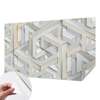 Savaime lipnus fototapetas Iliustruotasis buvęs