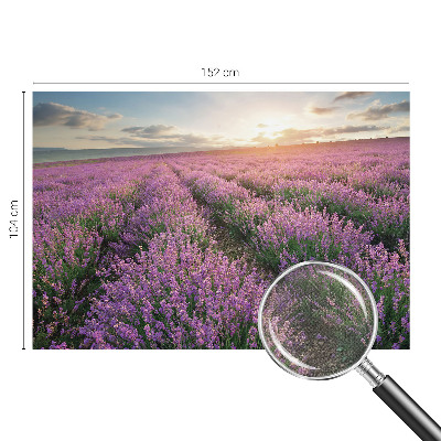 3D fototapetas sienoms su levandų motyvu