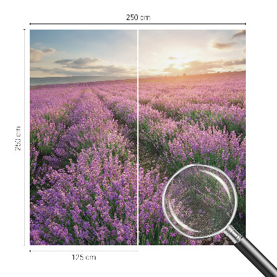 3D fototapetas sienoms su levandų motyvu