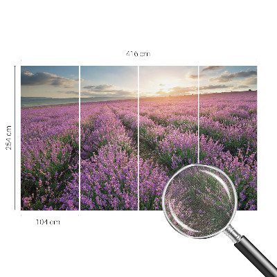 3D fototapetas sienoms su levandų motyvu