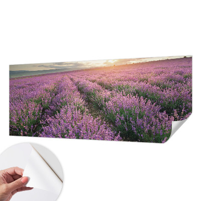 3D fototapetas sienoms su levandų motyvu