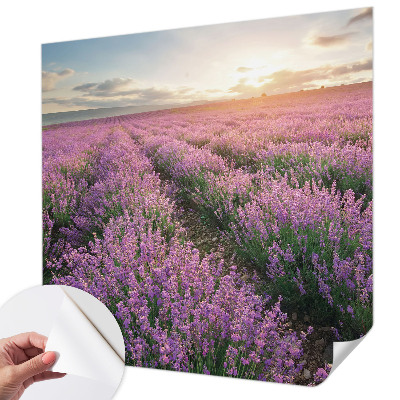 3D fototapetas sienoms Levandų žymeklis