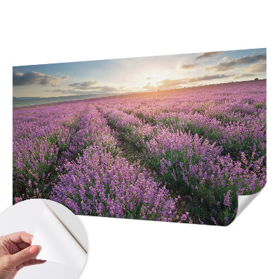 3D fototapetas sienoms su levandų motyvu