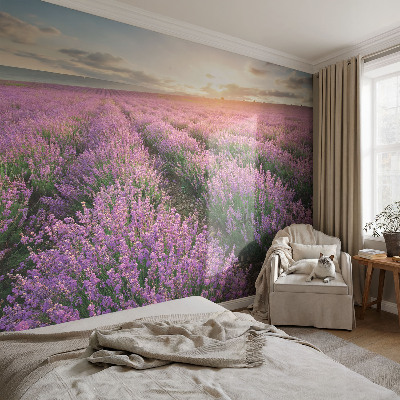 3D fototapetas sienoms su levandų motyvu