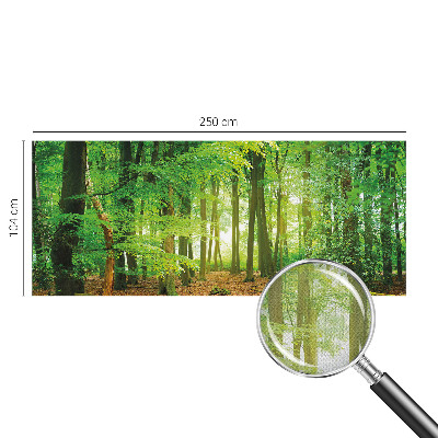 Fototapetas vaikams Žalioji skova