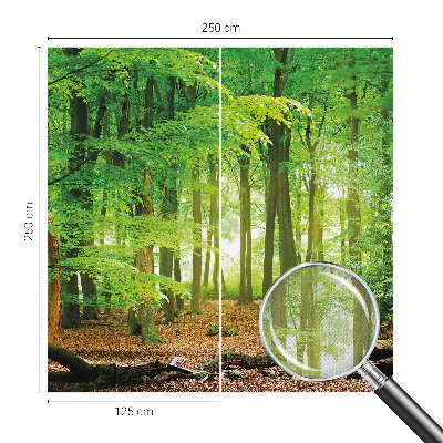 Fototapetas vaikams Žalioji skova