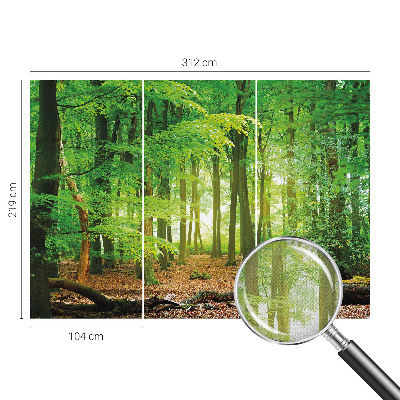 Fototapetas vaikams Žalioji skova