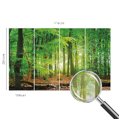 Fototapetas vaikams Žalioji skova