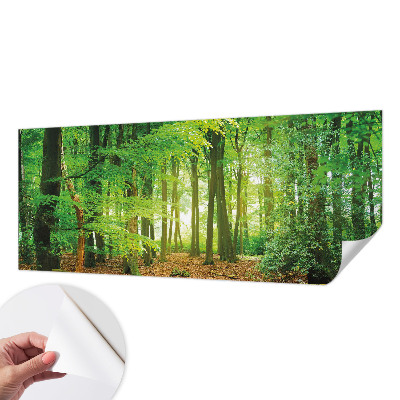 Fototapetas vaikams su žaliu skovu