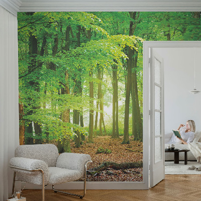 Fototapetas vaikams su žaliu skovu