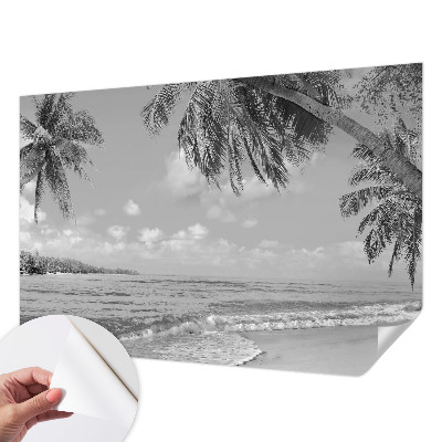 Fototapetai su tropikų rojumis