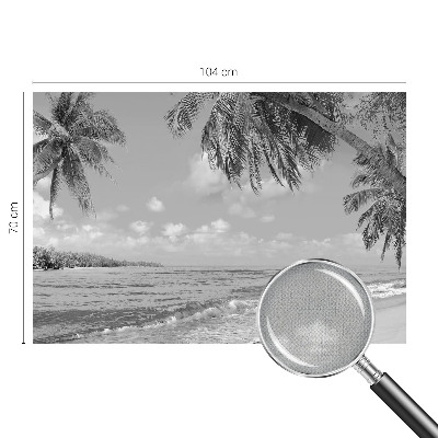 Fototapetai su tropikų rojumis