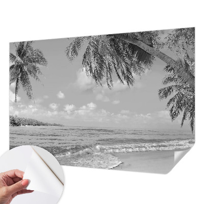 Fototapetai su tropikų rojumis