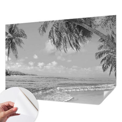 Fototapetai su tropikų rojumis