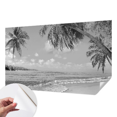 Fototapetai su tropikų rojumis