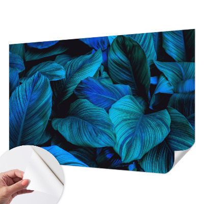 Savaime lipnus fototapetas Mėlynas peilis