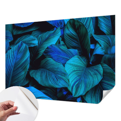 Savaime lipnus fototapetas Mėlynas peilis