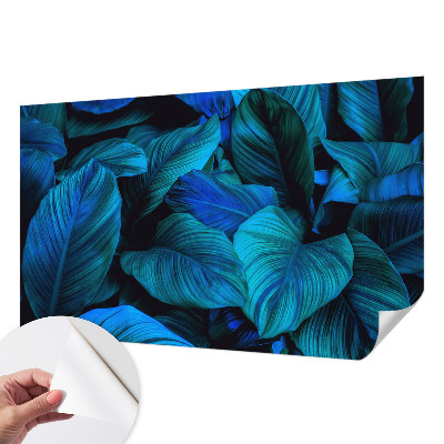 Savaime lipnus fototapetas Mėlynas peilis