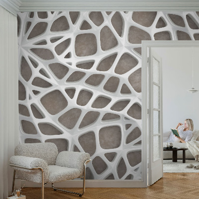 3D fototapetas sienoms su geometriniu tinklo raštu