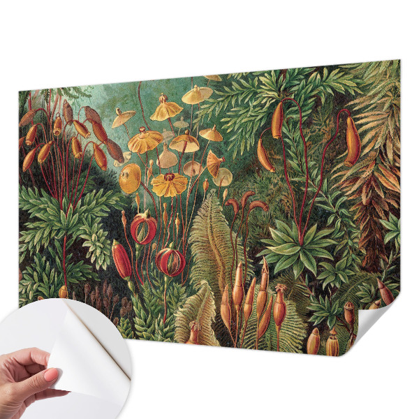 Tapetai Eksotisk turi