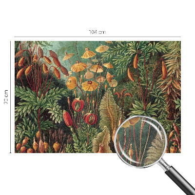 Tapetai Eksotisk turi