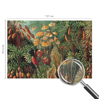 Tapetai Eksotisk turi