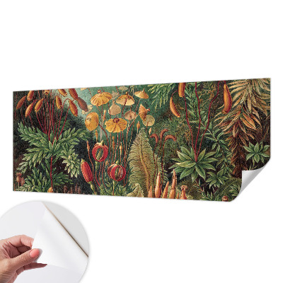 Tapetai Eksotisk turi