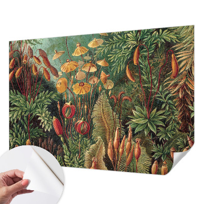 Tapetai Eksotisk turi